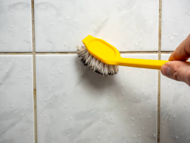 Munhall, PA Mold Removal Company